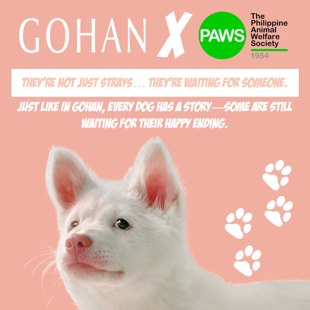 PAWS Philippines tweet media