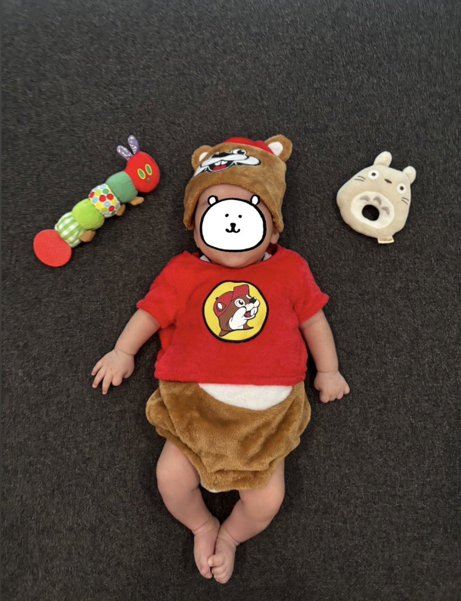 ぽむ 🐕🇺🇸39w▶︎2m🦖 tweet media