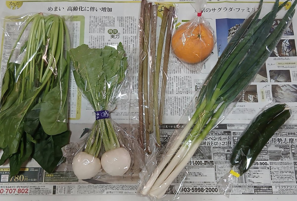 たろぺー tweet media