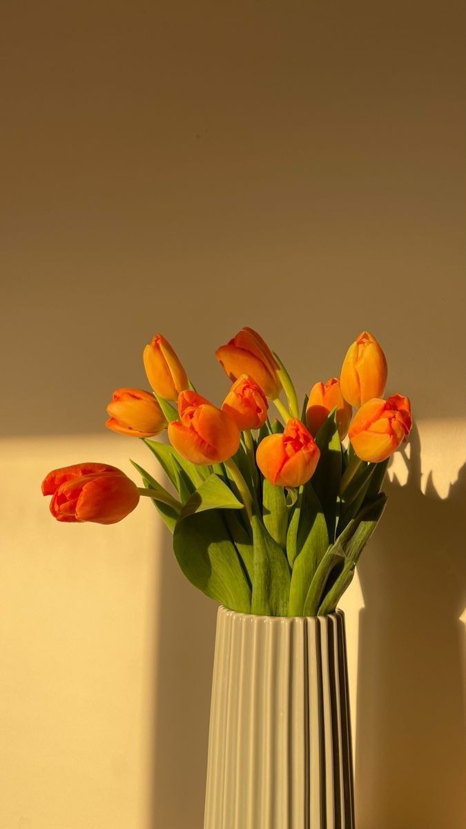 Flowerland tweet media