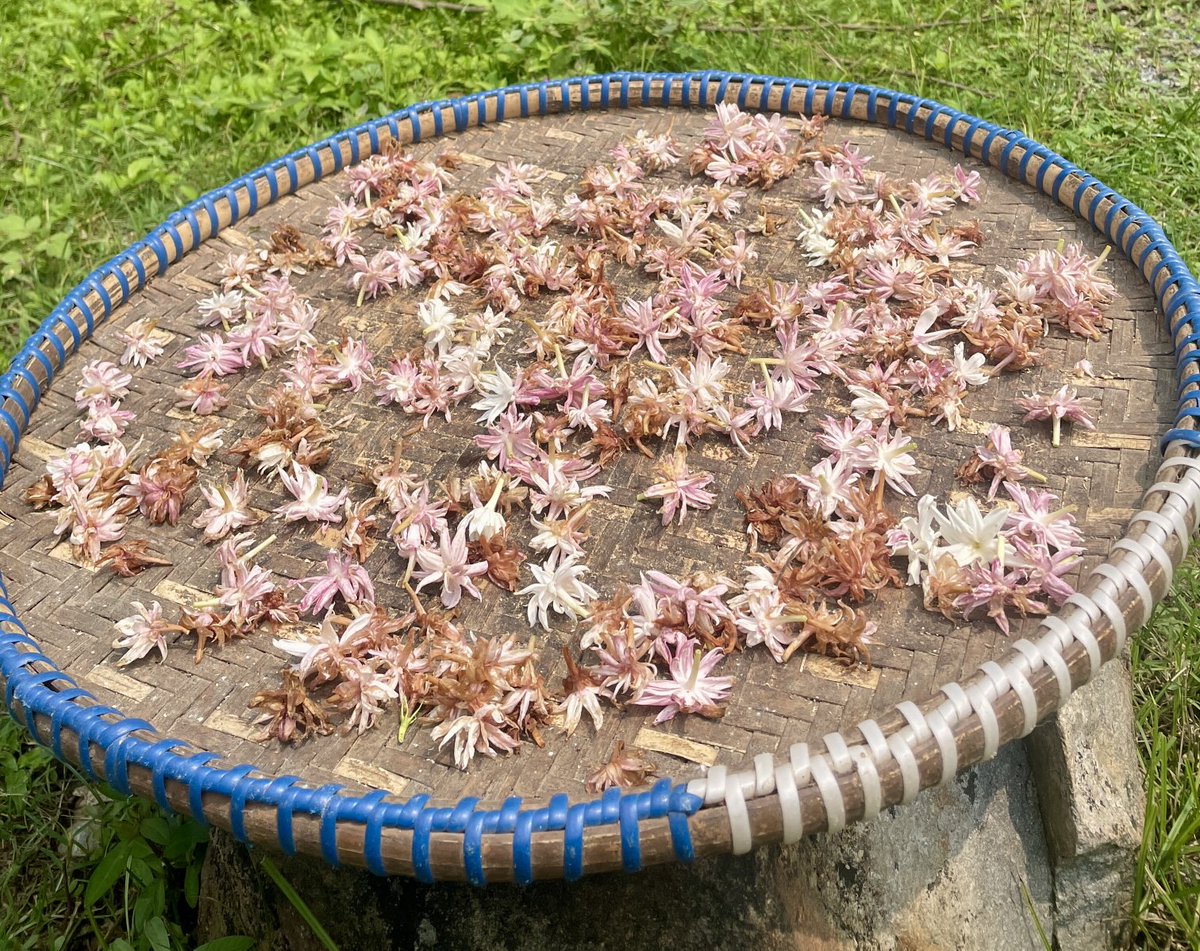 narayan wagle tweet media