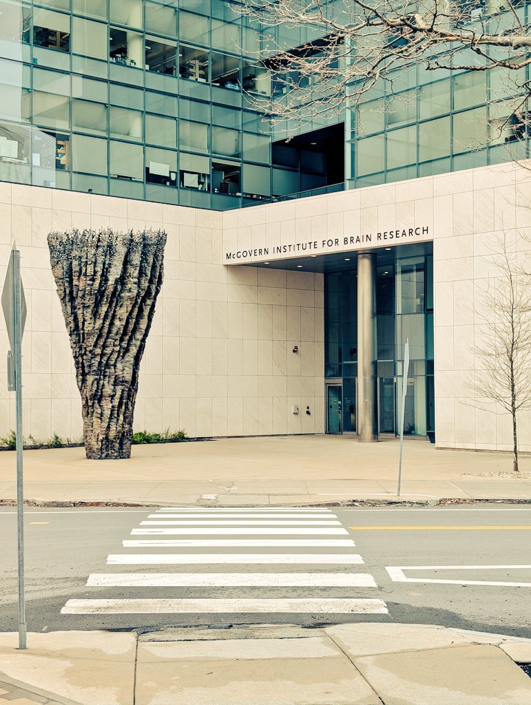 John Das, MD, KM tweet media