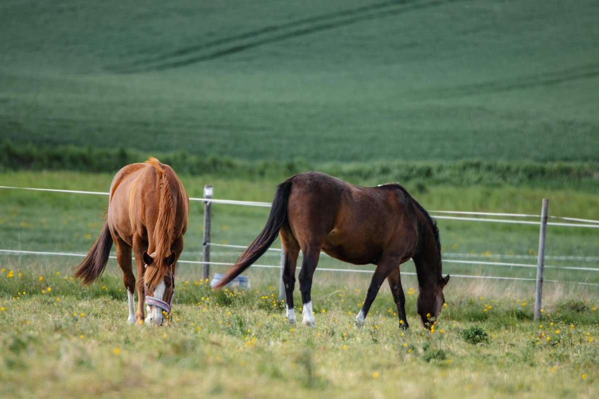 Cathy Grace Calataro tweet media