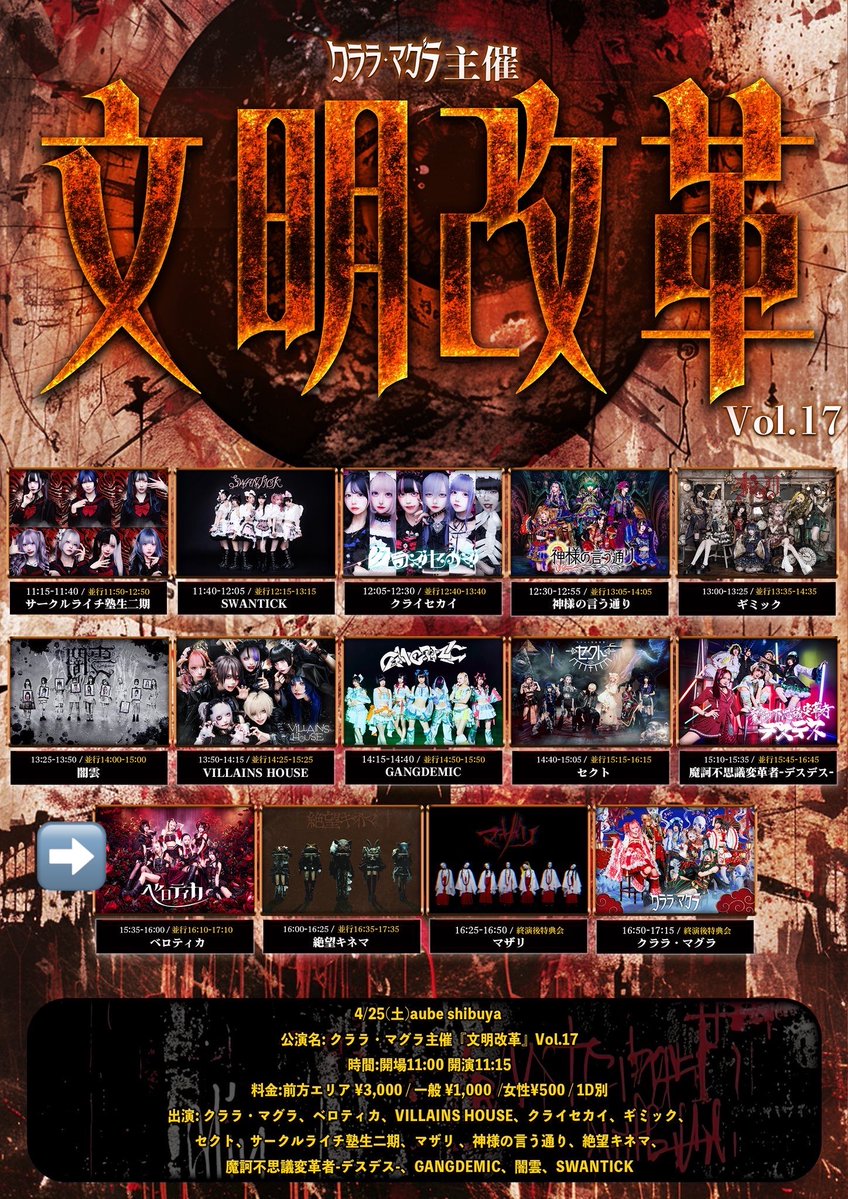 マンスリーライブ 通しチケット特典2012 IDOL FILE PRESENTS IDOL ROCKS! -New Year Special-』のチケット情報