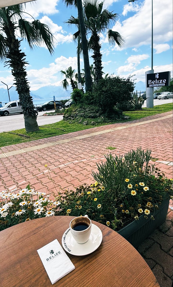 Ali Çakır | Finansal Özgürlük tweet media