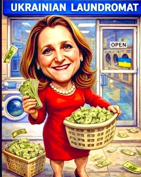 Benfica the Cat 🐈‍⬛🐾💕 tweet media