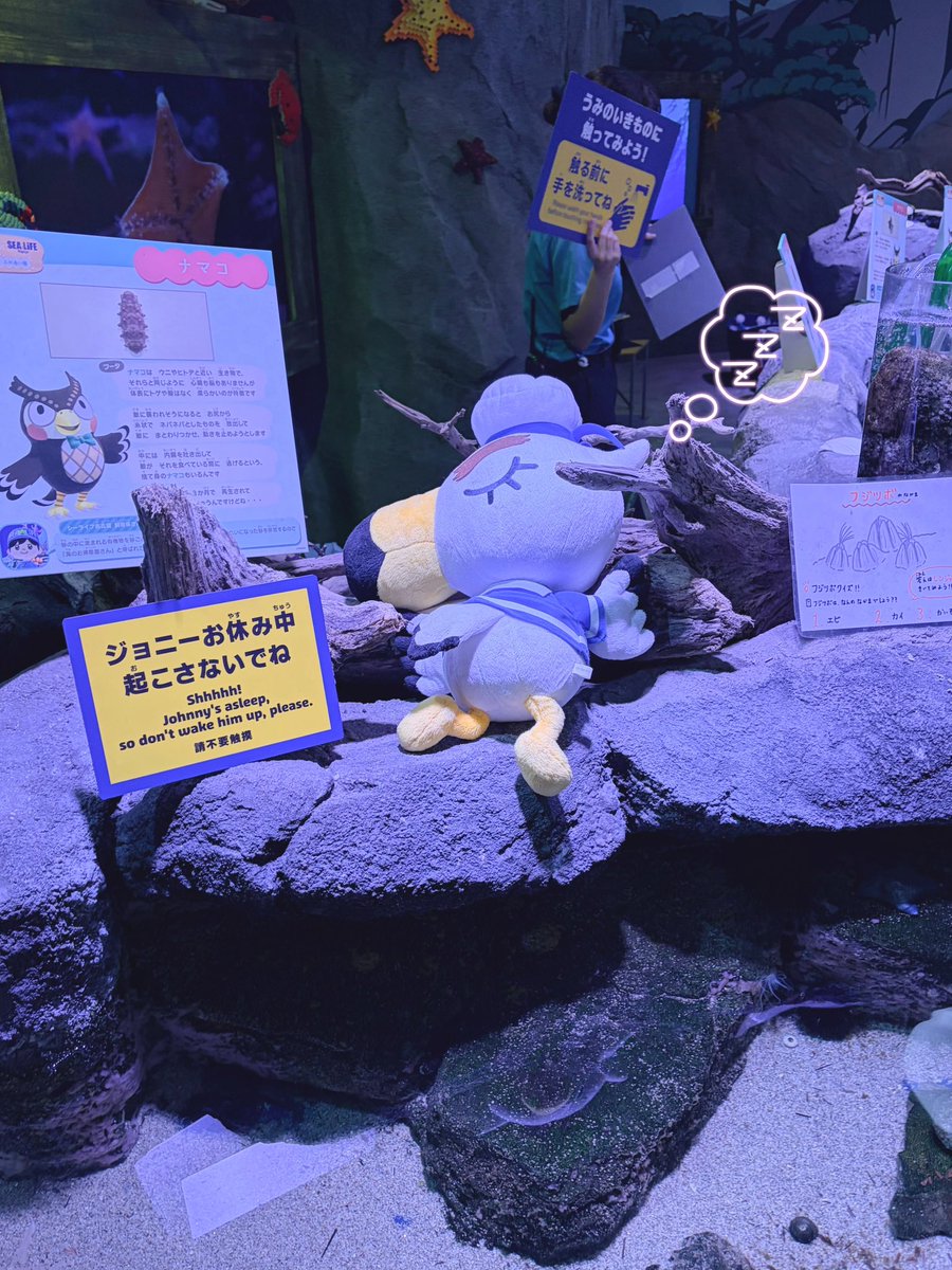 •᷄ࡇ•᷅ tweet media