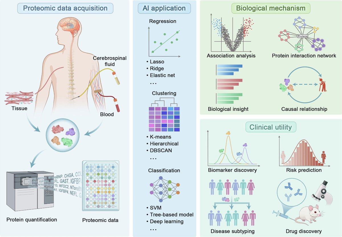 NewsLifeScience's tweet image. Could your proteins predict disease years before symptoms? 🧬🤖 Proteomics + AI are unlocking risk prediction and personalized care like never before.  news-medical.net/news/20260419/… #Proteomics #PrecisionMedicine #AI @Sci_Bull