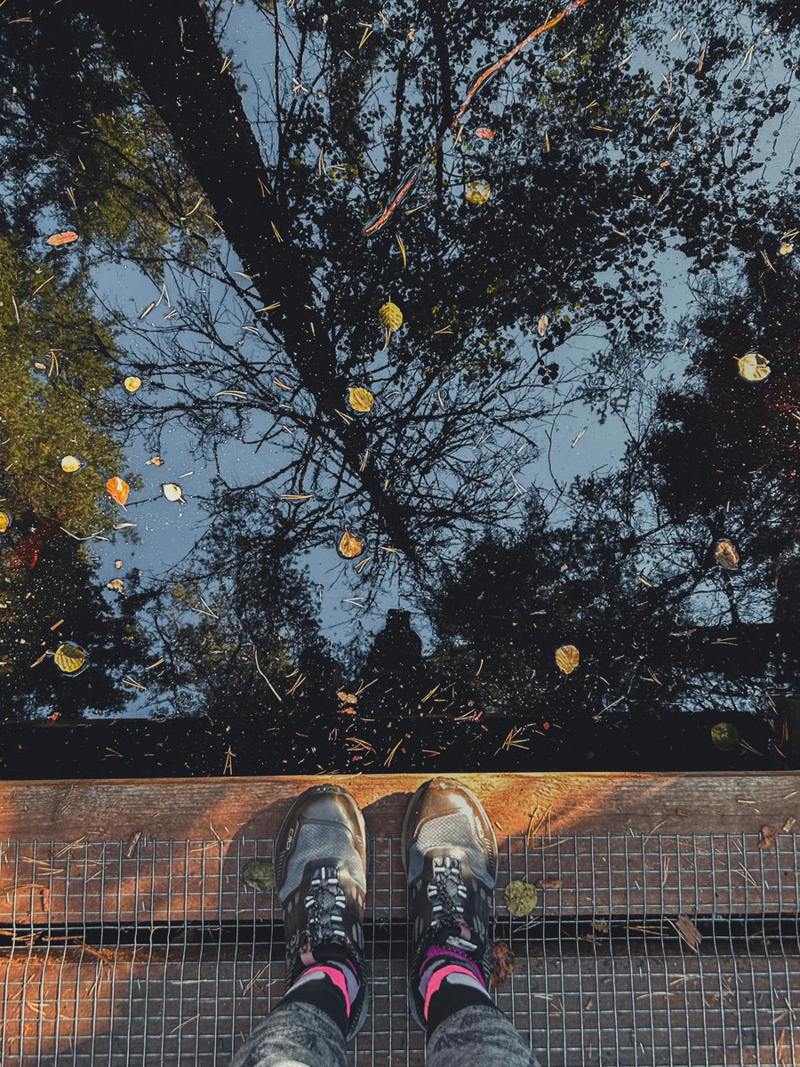 james bryan acain tweet media