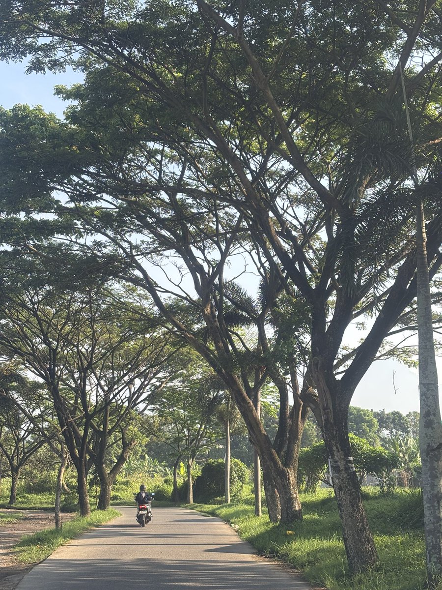 kegiatan senin pagi..