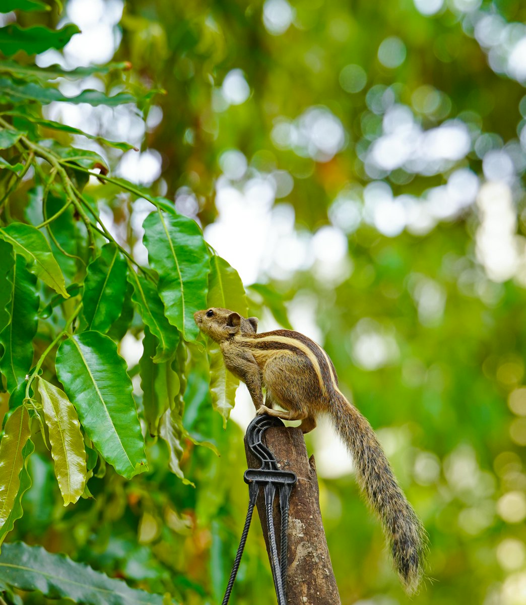 Danhya Calderón🌸 tweet media