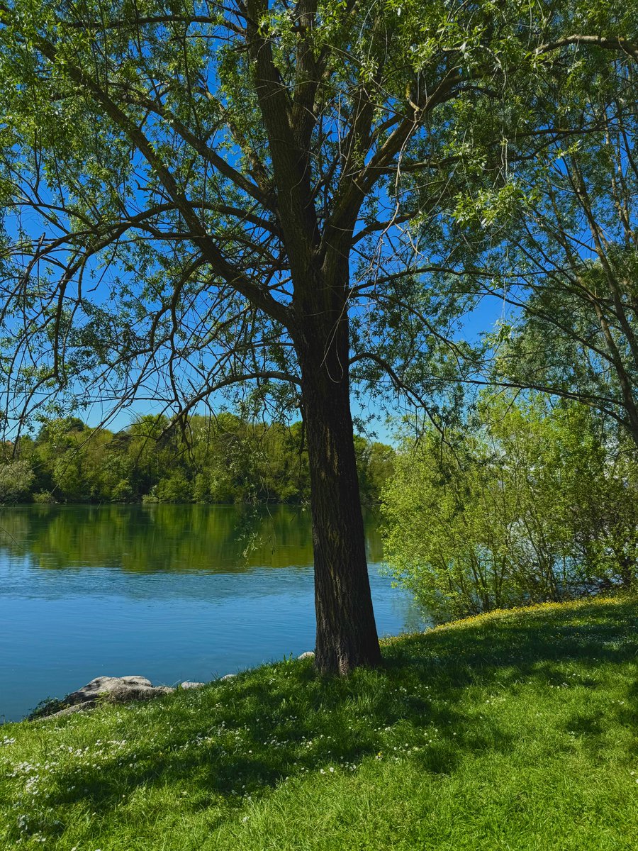 Danhya Calderón🌸 tweet media