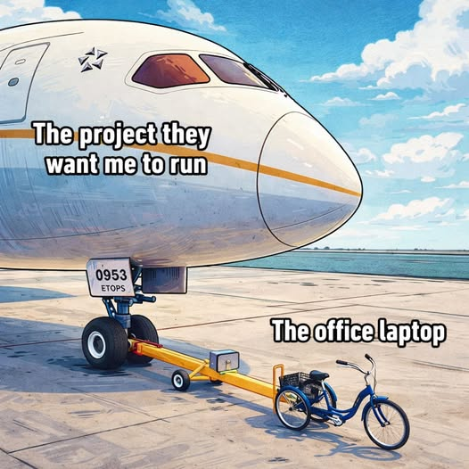 Python Developer tweet media