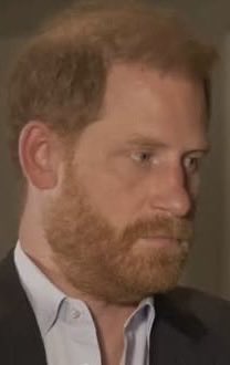 Royal Thoughts - Parody and Commentary tweet media