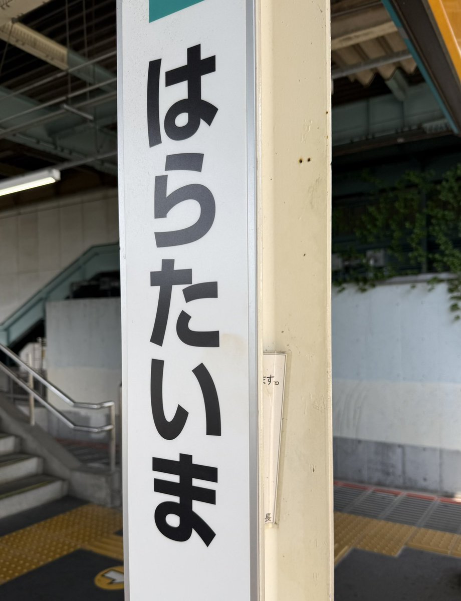 黄色のアカ(旧RedSun🟨🟩) tweet media