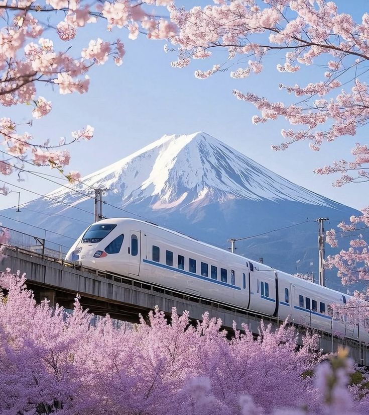 Blooming Beauties tweet media