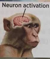 kOVKA_XP tweet media