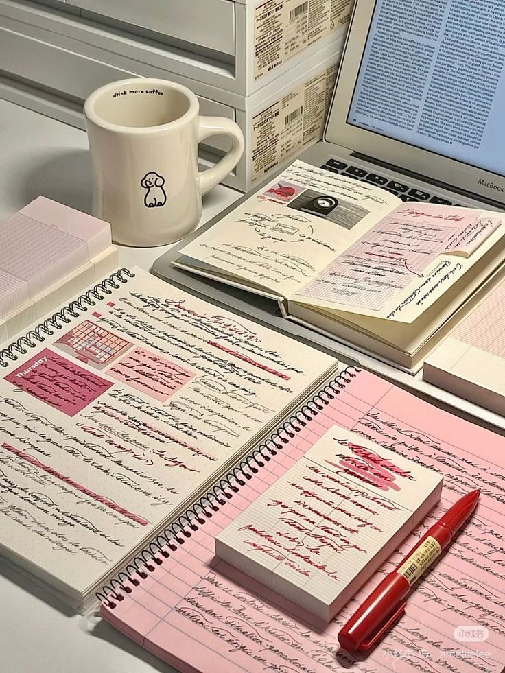 kin ✧⁠*⁠。 tweet media