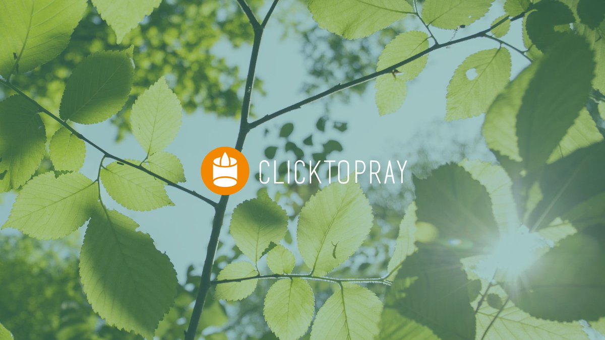 Click To Pray | Das Video vom Papst tweet media