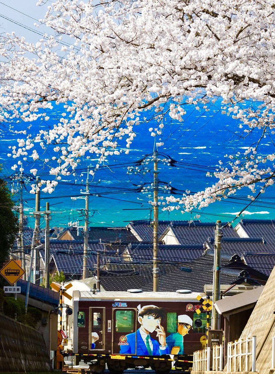 柄木孝志 TAKASHI KARAKI ／　Canonプリントセミナー全国ツアー 講師 tweet media