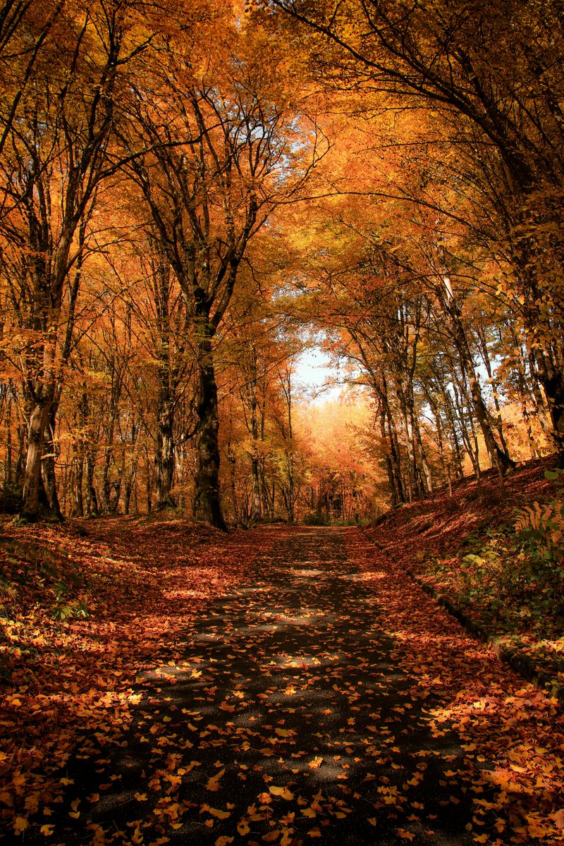 HyperLiquidX | Event Is live! tweet media