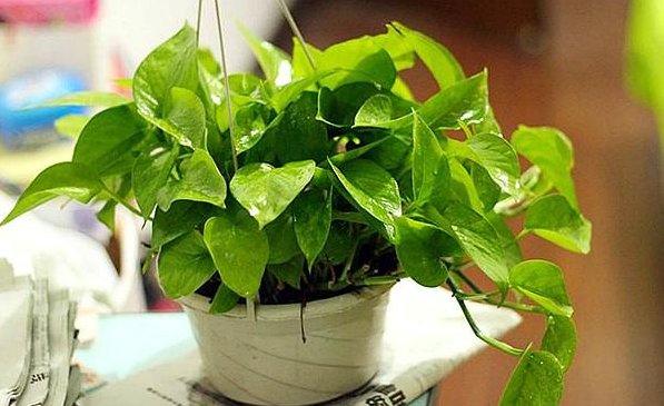 Arnaud Olaso tweet media