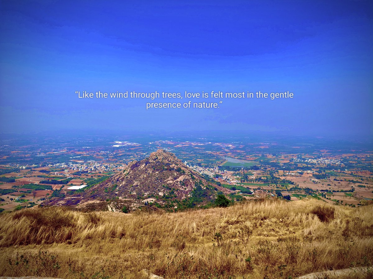 priiyankagnaidu's tweet image. Breathtaking views! 🏞️ "Like the wind through trees, love is felt most in the gentle presence of nature," perfectly captures the serenity of this landscape. Let nature soothe your soul. 💖✨ #NatureLove #SerenityNow #PeacefulVibes 🌿
