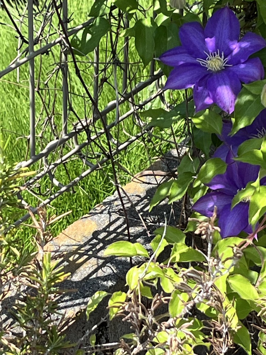 R2D6 - ゲームゆっくり実況ch tweet media