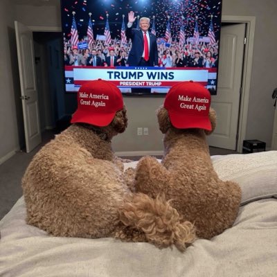 vegasmama3333's tweet photo. #NewProfilePic https://t.co/B9jgH6m6Td