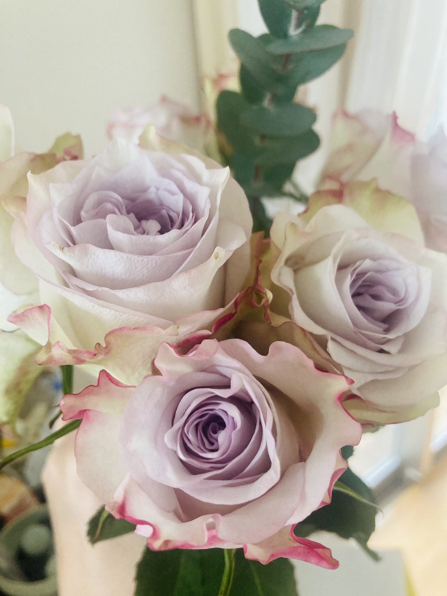 先週誕生日だったんだけど、お友だちが薔薇の花束を届けてくれた。コロンビアローズのアンティークという名前の薔薇。儚げなのに存在感があってすてき。