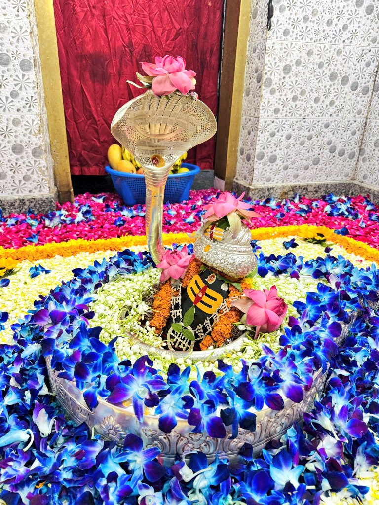 MyManas555's tweet image. हर हर महादेव 
राम राम मेरे महादेव जी 🪔 

#Sanatani #Hindu #Shiva #Monday #