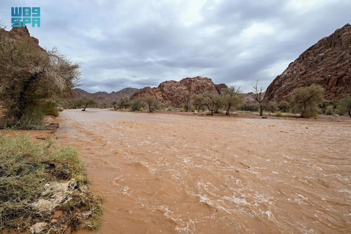 arabnews's tweet image. #PHOTOS: Images captured in #Saudi Arabia’s north-central region of #Hail as the Kingdom continued to experience moderate to heavy rainfall on April 19, 2026. arab.news/y2pkt