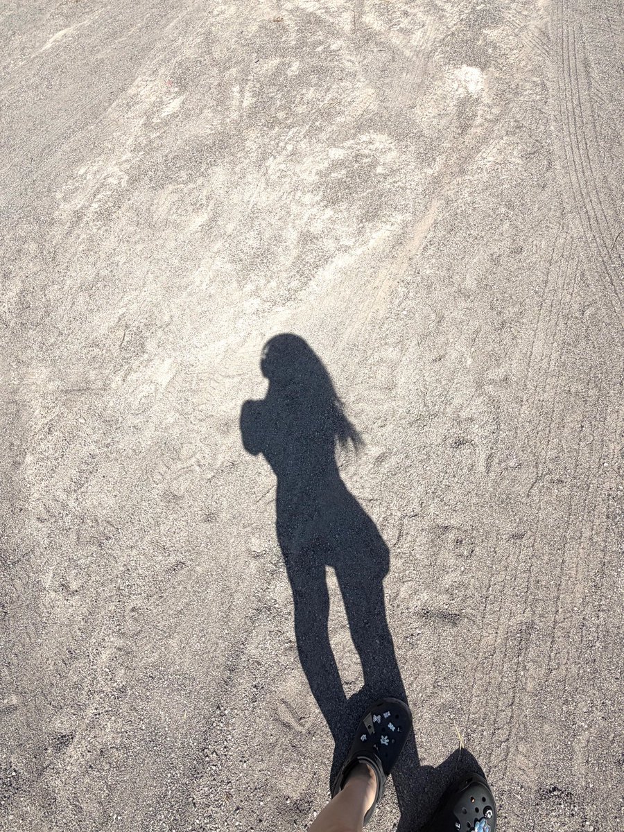 little miss sunshine, tweet media