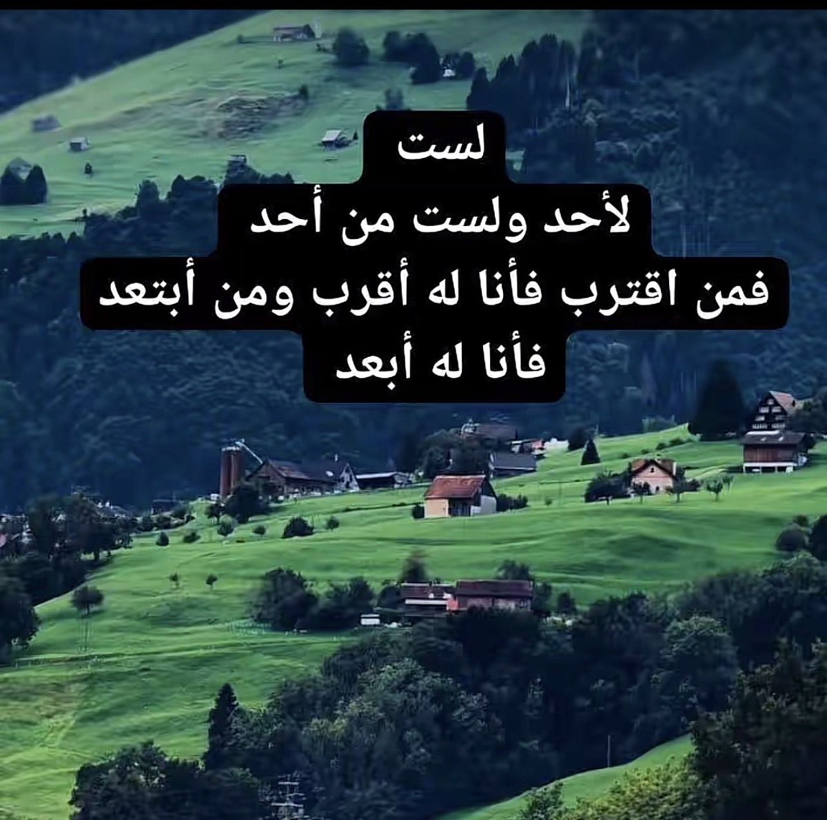 سلطان tweet media