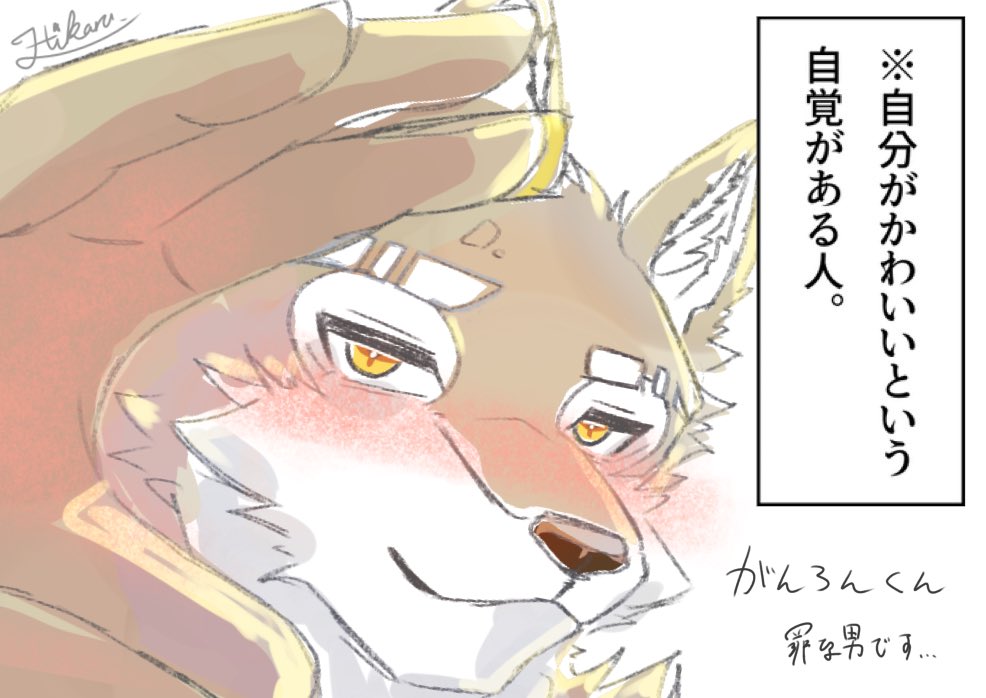 光/Hikaru tweet media