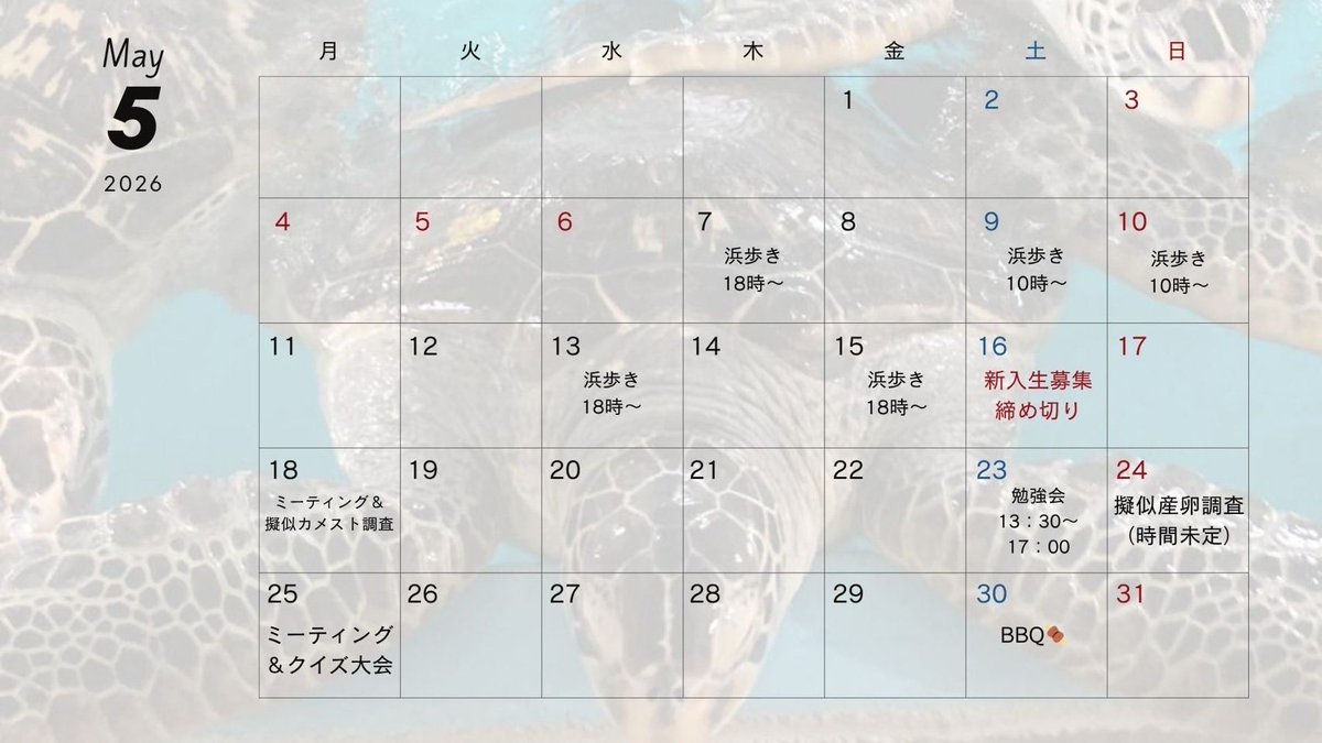 5月の新歓カレンダーです‼️
たくさんのご参加お待ちしております🫡🙌🏻