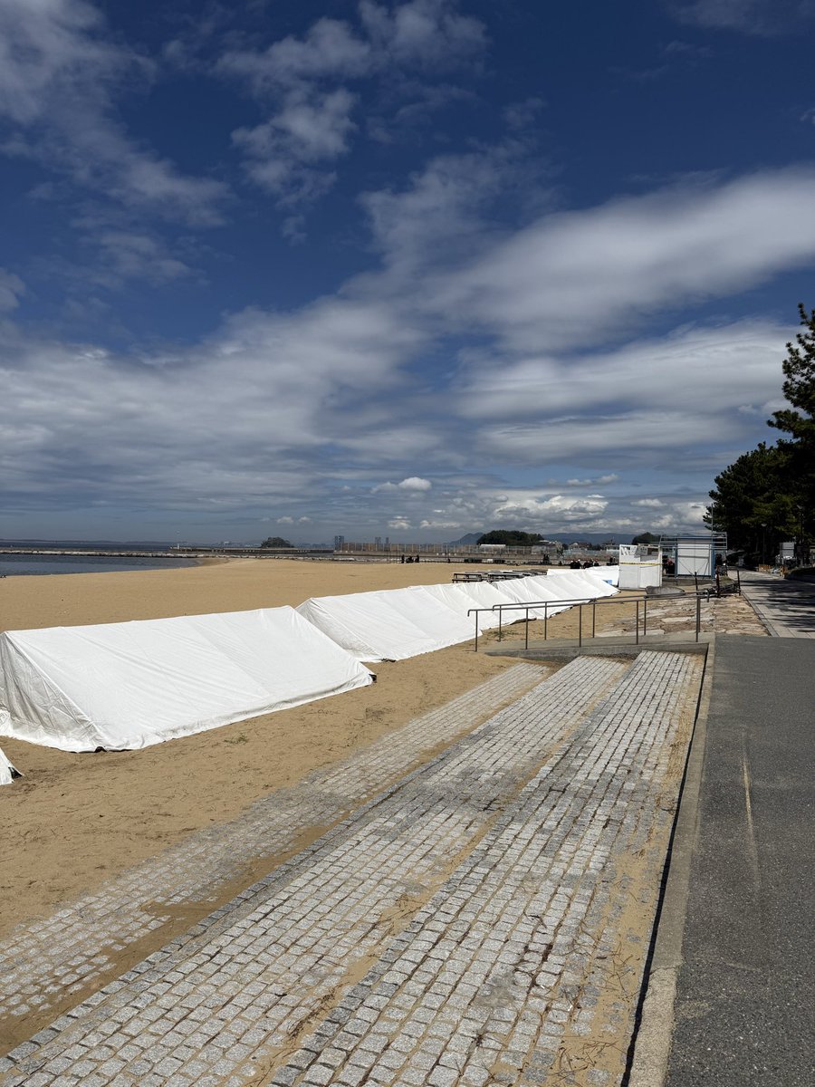 しゅとうで～～～～す！！ tweet media