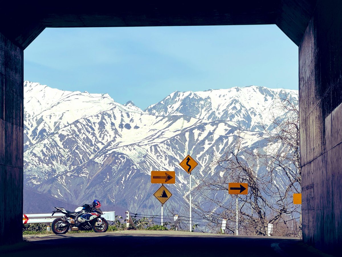 シトレ tweet media