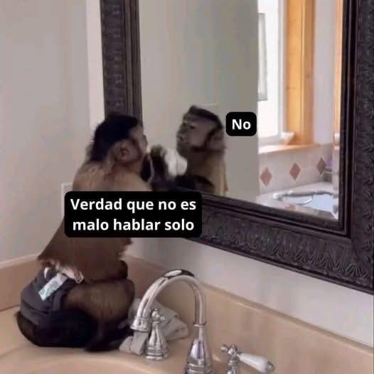 El Guarromántico tweet media