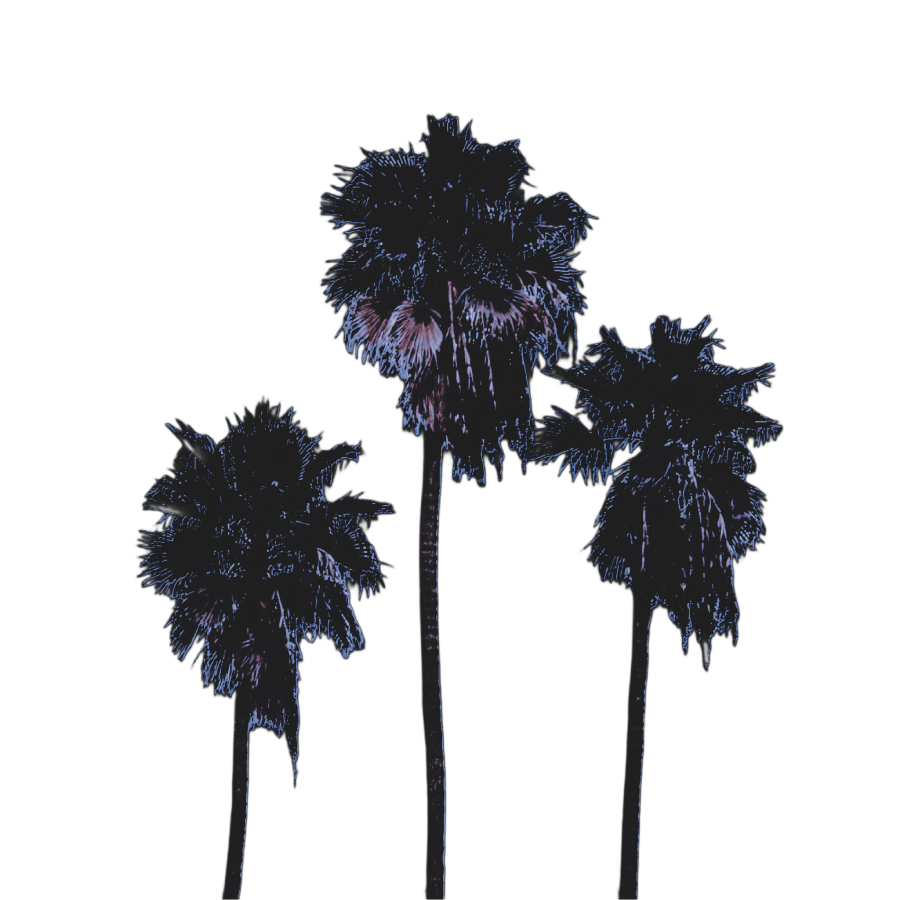 𝓣𝒉𝒆 𝓒𝒐𝒂𝒔𝒕𝒊𝒆 . tweet media