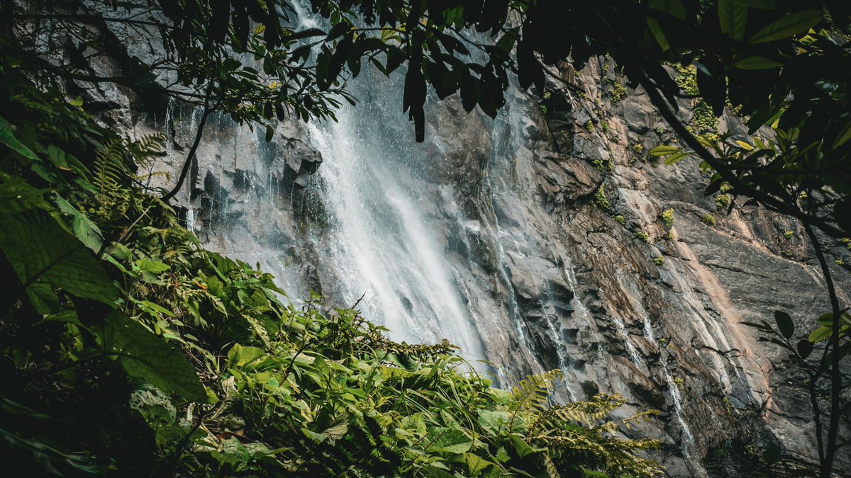 สันลมจอย ชมภู tweet media