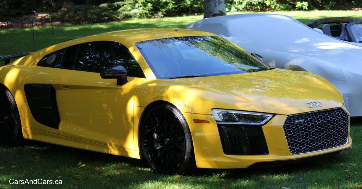 carsandcars_ca's tweet image. Audi R8

 #Audi #GermanCar 
 audi.carsblitz.com