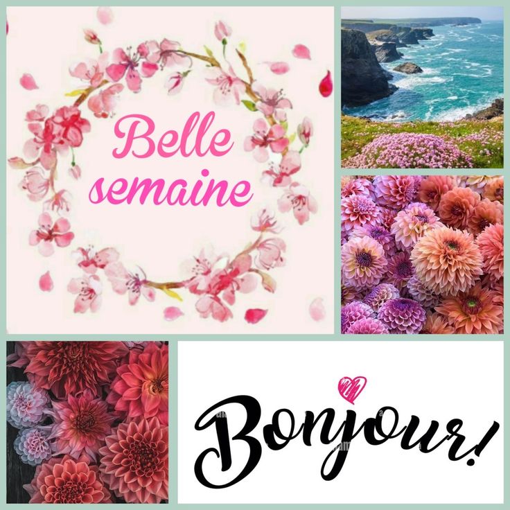 JosetteJ1's tweet image. Agréable lundi à tous mes abonnés d'ici et d'ailleurs 😘  🌺
Le Café/thé vous attend  
☕☕☕🍵☕☕☕
Courage les travailleurs👍
Météo 4° maxi 15°🌤
#Ligue_des_optimistes 
Que cette journée vous apporte #Joie #Douceur #Bienveillance  #Tendresse #Tolérance