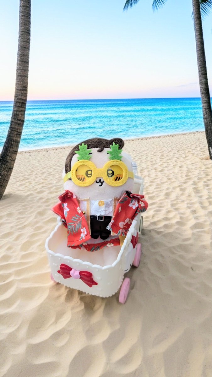 ちいたけ tweet media