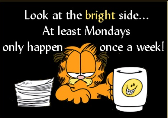 IN_FINITY's tweet image. Good_Morning_X
Rise &amp;amp; Shine !! Its Monday again !! 🤩🙄
New workweek Let's GO  - with or without mood 🤣
Happy Monday !!!!!!!!

GM traders ☀️📈
Fresh coffee, fresh mindset, fresh opportunities ☕🚀
Let the candles print green today 💚💰
#GM #Crypto #Trading