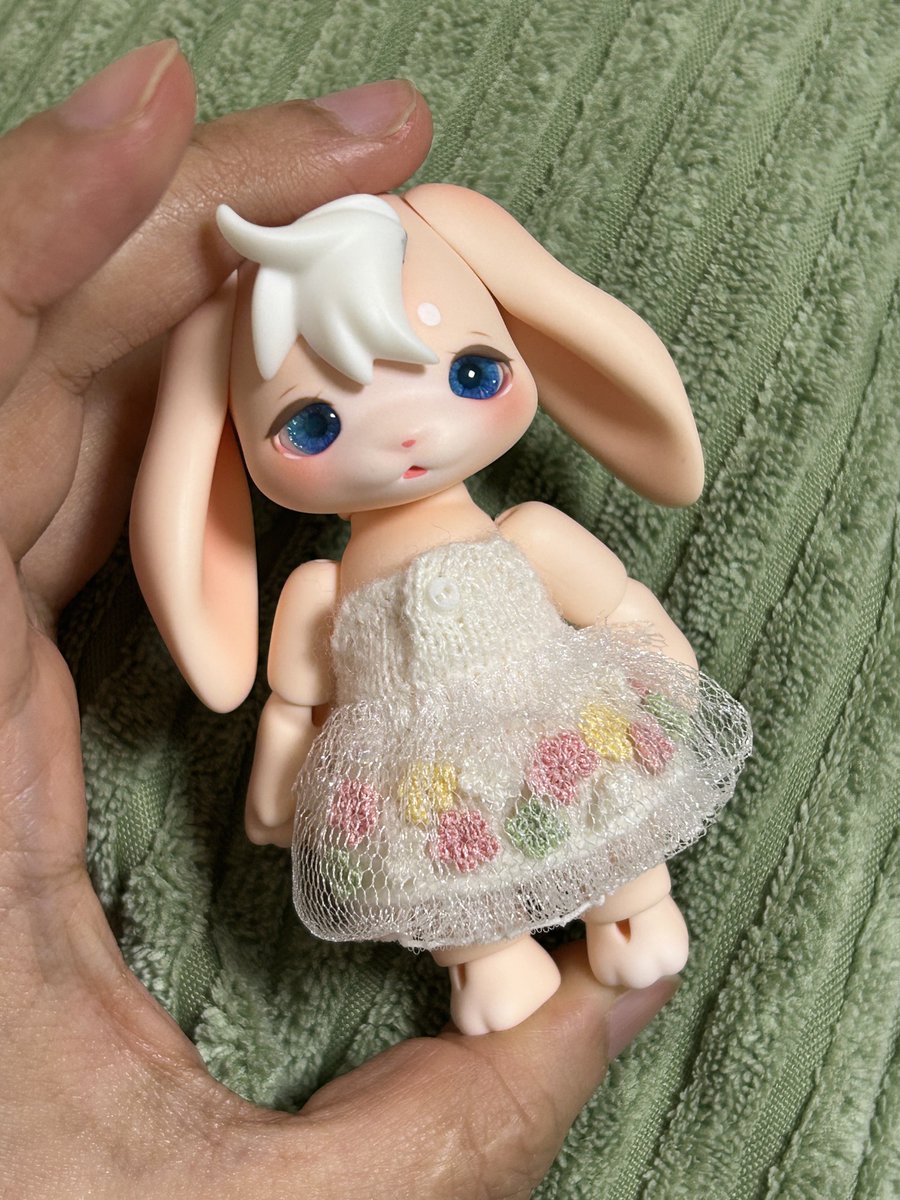 솜구름 tweet media