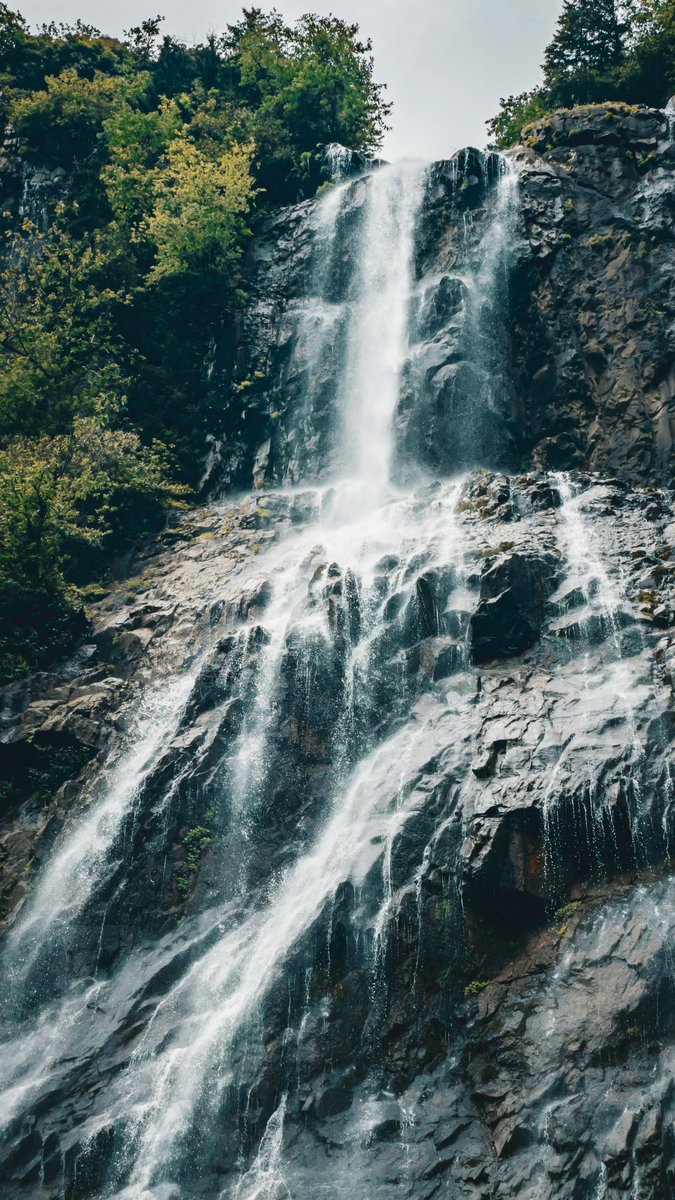 rumbo🔆 tweet media