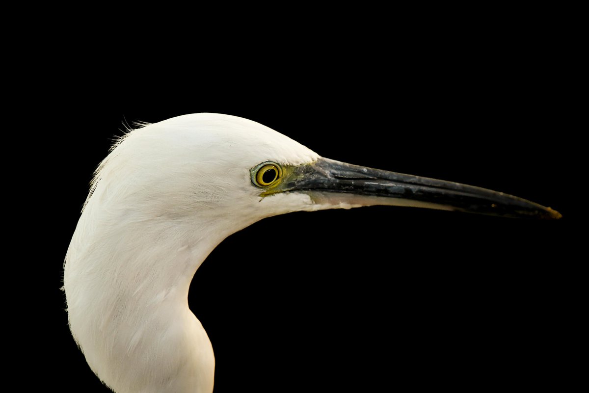 rumbo🔆 tweet media