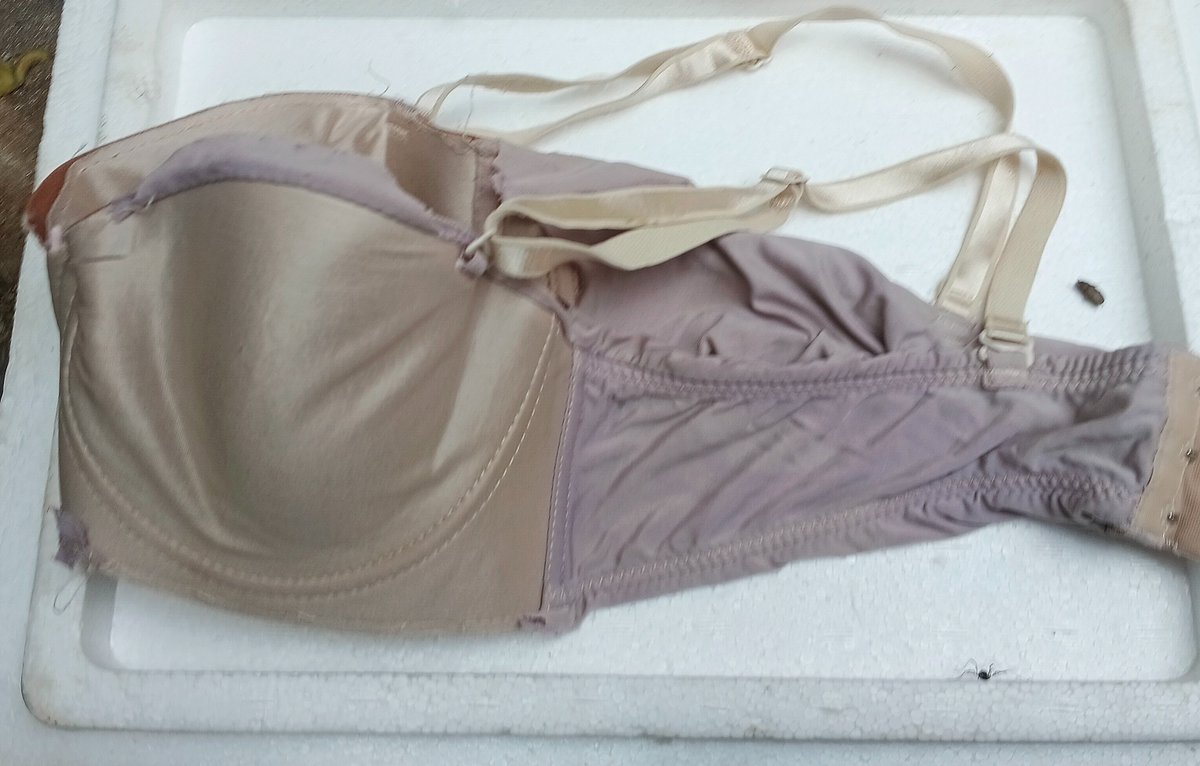 ชอบสาวใหญ่มากๆ tweet media