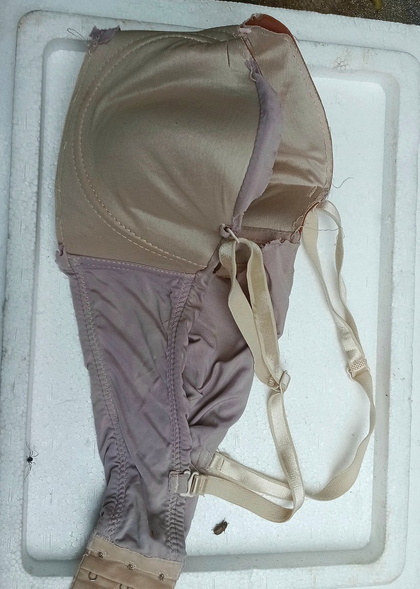 ชอบสาวใหญ่มากๆ tweet media